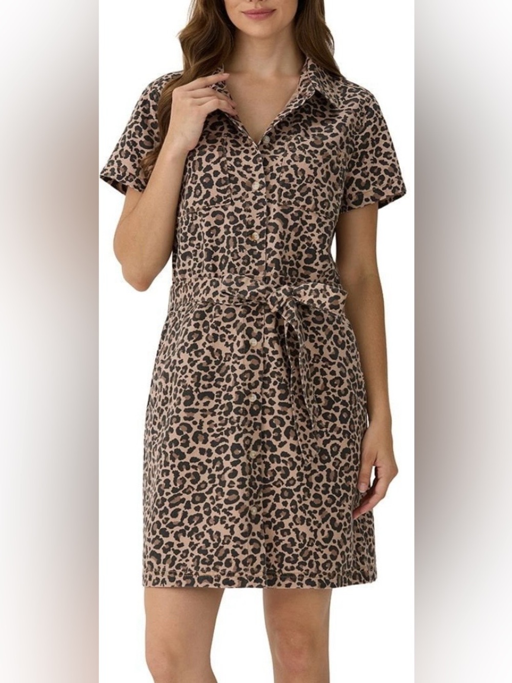 Frye Leopard-Print Shirt Dress in Brown and Black